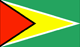 Guyana Flag